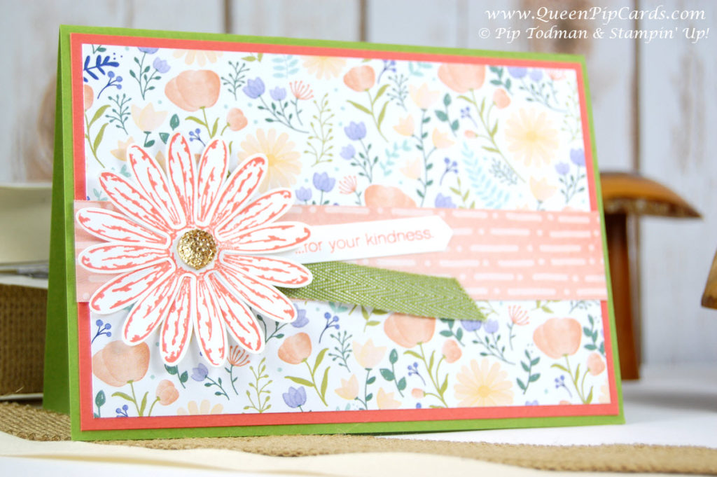 You Will Love Delightful Daisy