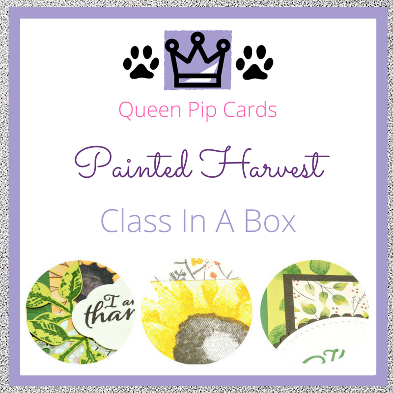 Painted Harvest Card Class In A Box with video tutorial! Pre-order your class spot today! Pip Todman Queen Pip Cards UK Stampin' Up! Demonstrator www.queenpipcards.com fb.me/QueenPipCards #queenpipcards #stampinup #papercraft #inspiringyourcreativity