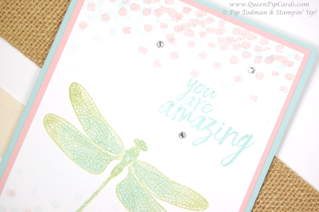 dreamy dragonfly designs