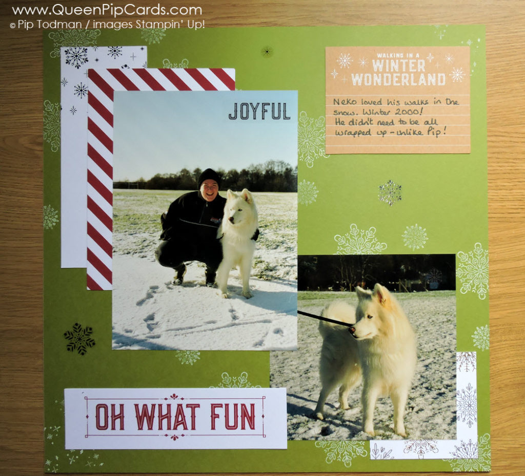 Neko in the snow at Christmas! Check out this easy Scrapbook Layout with Memories and More. Using Merry Little Christmas card pack and Cheers to the Year stamps! Pip Todman Crafty Coach & Stampin' Up! Demonstrator in the UK Queen Pip Cards www.queenpipcards.com Facebook: fb.me/QueenPipCards #queenpipcards #stampinup #papercraft #inspiringyourcreativity