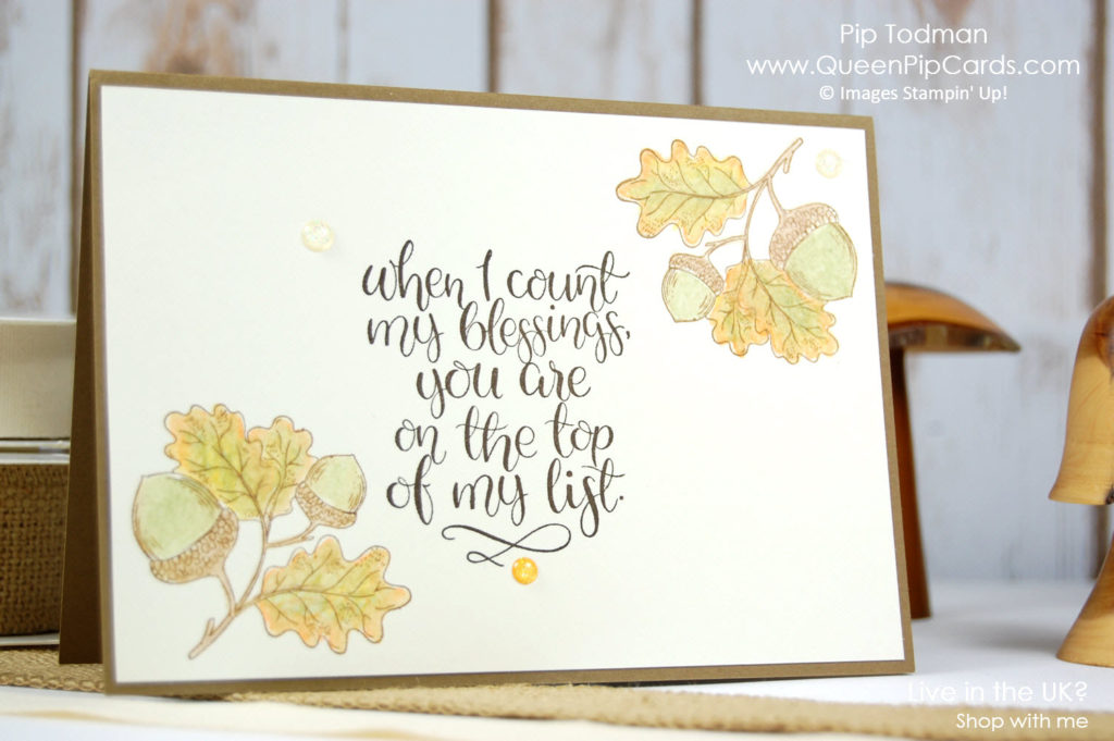 Count My Blessings With The Acorns! I love my Stampin' Up! friends!   Pip Todman Crafty Coach & Stampin' Up! Demonstrator in the UK Queen Pip Cards www.queenpipcards.com Facebook: fb.me/QueenPipCards  #queenpipcards #stampinup #papercraft #inspiringyourcreativity 