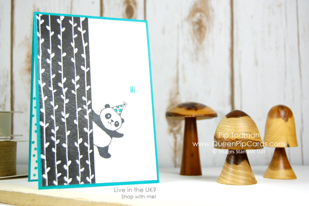 Are you a Party Panda too? I am loving the Party Panda Sale-a-bration set coming January 2018. Until then, Happy Christmas!   Pip Todman Crafty Coach & Stampin' Up! Demonstrator in the UK Queen Pip Cards www.queenpipcards.com Facebook: fb.me/QueenPipCards  #queenpipcards #stampinup #papercraft #inspiringyourcreativity 
