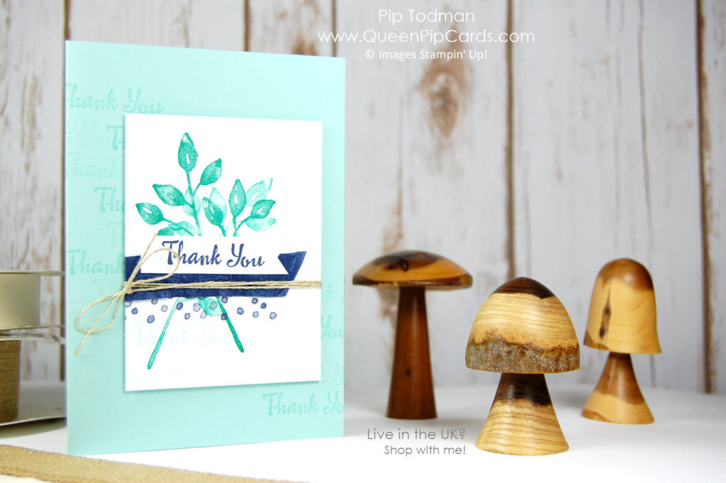 Sneak Peek Spring Summer 2018 with the Stampin' Creative design team! Check our Hop out! Pip Todman Crafty Coach & Stampin' Up! Demonstrator in the UK Queen Pip Cards www.queenpipcards.com Facebook: fb.me/QueenPipCards #queenpipcards #stampinup #papercraft #inspiringyourcreativity 