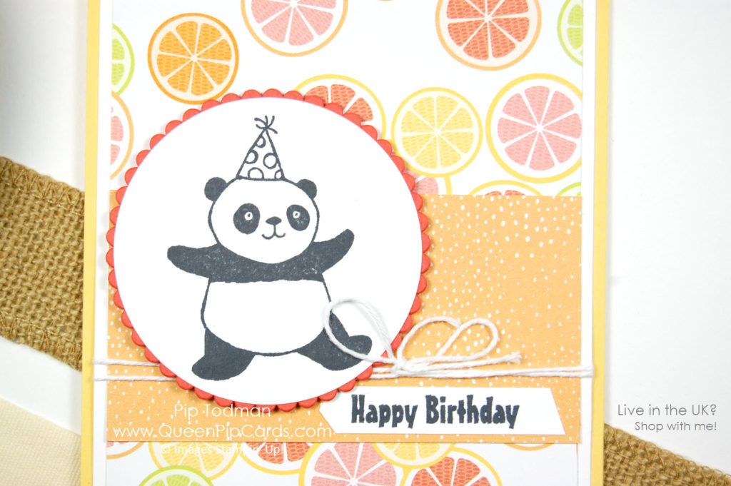 Party Pandas Meet Tutti Frutti. Sale-a-bration 2018. Fabulous cute stampset! Pip Todman Crafty Coach & Stampin' Up! Top UK Demonstrator Queen Pip Cards www.queenpipcards.com Facebook: fb.me/QueenPipCards #queenpipcards #stampinup #papercraft #inspiringyourcreativity 