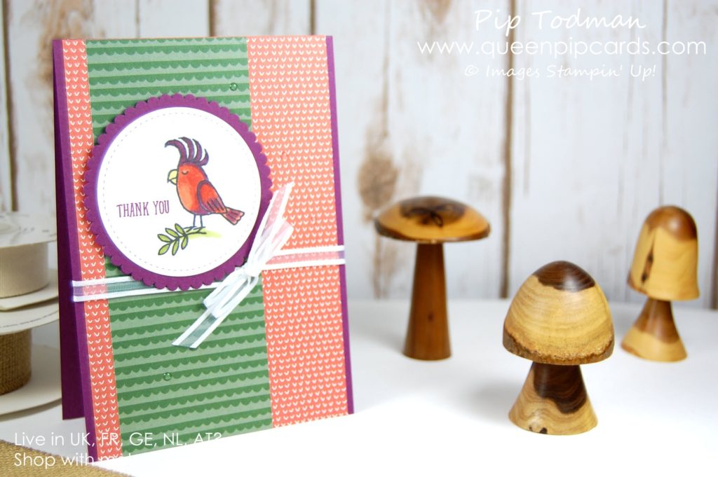 Getting Fruity with Bird Banter! No it's not risque haha made you look though eh! I just love how the Tutti Fruitti Designer Series Paper stack works so well with the colours of parrots! Love this stamp set the birds are so cute and funny! Spring / Summer 2018 Pip Todman Crafty Coach & Stampin' Up! Top UK Demonstrator Queen Pip Cards www.queenpipcards.com Facebook: fb.me/QueenPipCards #queenpipcards #stampinup #papercraft #inspiringyourcreativity 