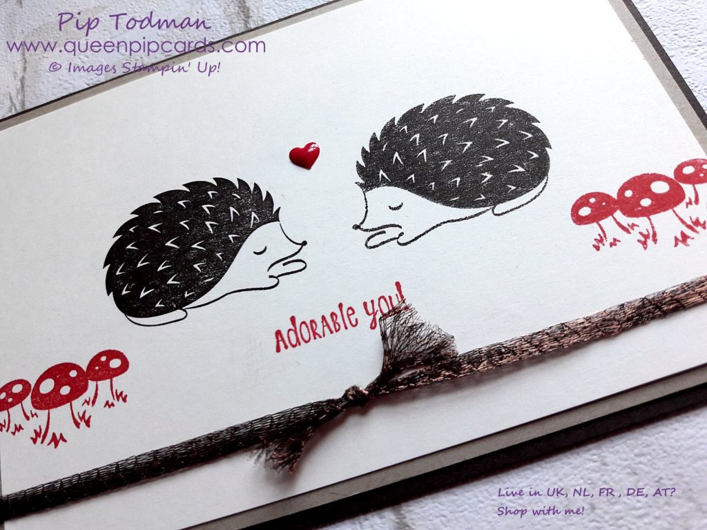 The Stamparatus Is Coming and I love the fact it can be used not just for simple and easy stamping, but for my favourite techniques too. Aren't these Hedgehogs from the Hedgehugs stamp set so cute?? The Stamparatus is the best! Available 1st June from my online store. http://bit.ly/QPCShop  Pip Todman Crafty Coach & Stampin' Up! Top UK Demonstrator Queen Pip Cards www.queenpipcards.com Facebook: fb.me/QueenPipCards  #queenpipcards #inspiringyourcreativity #stampinup #papercraft 