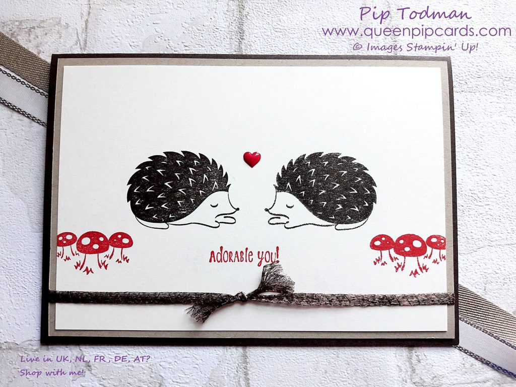 The Stamparatus Is Coming and I love the fact it can be used not just for simple and easy stamping, but for my favourite techniques too. Today it's the Reflection Technique, with Hedgehugs stamps! Made easy by the Stamparatus. Available 1st June from my online store. http://bit.ly/QPCShop  Pip Todman Crafty Coach & Stampin' Up! Top UK Demonstrator Queen Pip Cards www.queenpipcards.com Facebook: fb.me/QueenPipCards  #queenpipcards #inspiringyourcreativity #stampinup #papercraft 