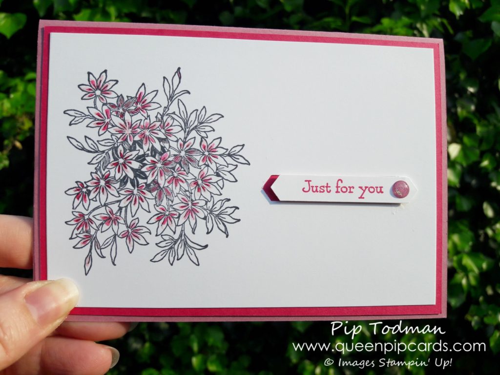 What Inspires My Card Designs - Here's my Awesomely Artistic creation based on my Alpine flower! All products available from my online store here: http://bit.ly/QPCShop Pip Todman Crafty Coach & Stampin' Up! Top UK Demonstrator Queen Pip Cards www.queenpipcards.com Facebook: fb.me/QueenPipCards #queenpipcards #inspiringyourcreativity #stampinup #papercraft 