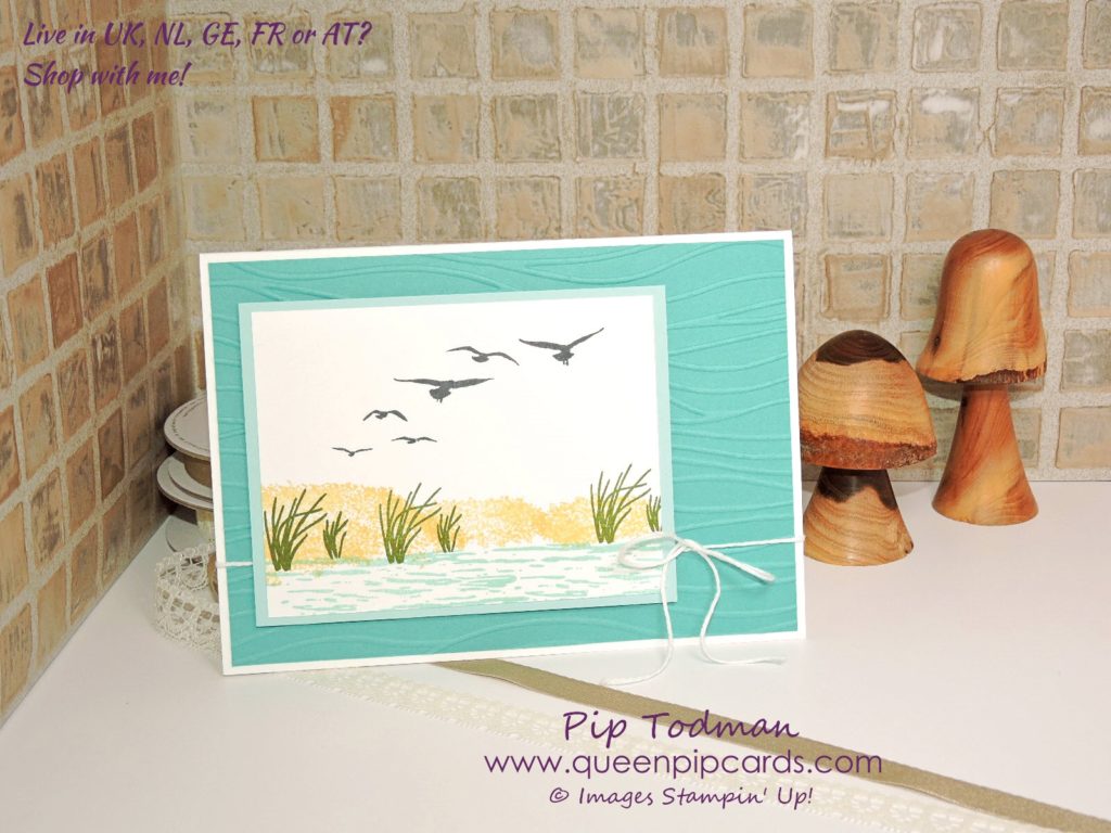 Love The Seaside Embossing Folder from Stampin' Up! It gives such a seaside feeling to any card! All Stampin' Up! products available from my online store here: http://bit.ly/QPCShop Pip Todman Crafty Coach & Stampin' Up! Top UK Demonstrator Queen Pip Cards www.queenpipcards.com Facebook: fb.me/QueenPipCards #queenpipcards #simplystylish #inspiringyourcreativity #stampinup #papercraft 