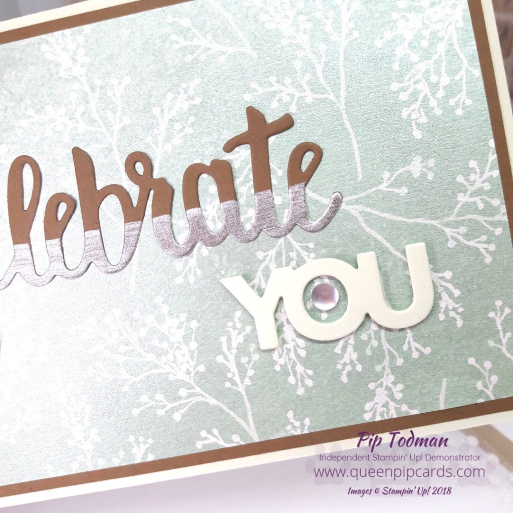 Celebrate You with my amazing team!! This week I'm sharing a card and box combo I created for my wonderful teamie who achieved both top sales and top recruiting this past year!! Well done Di Richardson! All Stampin' Up! products are / will be available from my online store here: http://bit.ly/QPCShop Pip Todman Crafty Coach & Stampin' Up! Top UK Demonstrator Queen Pip Cards www.queenpipcards.com Facebook: fb.me/QueenPipCards #queenpipcards #simplystylish #inspiringyourcreativity #stampinup #papercraft 