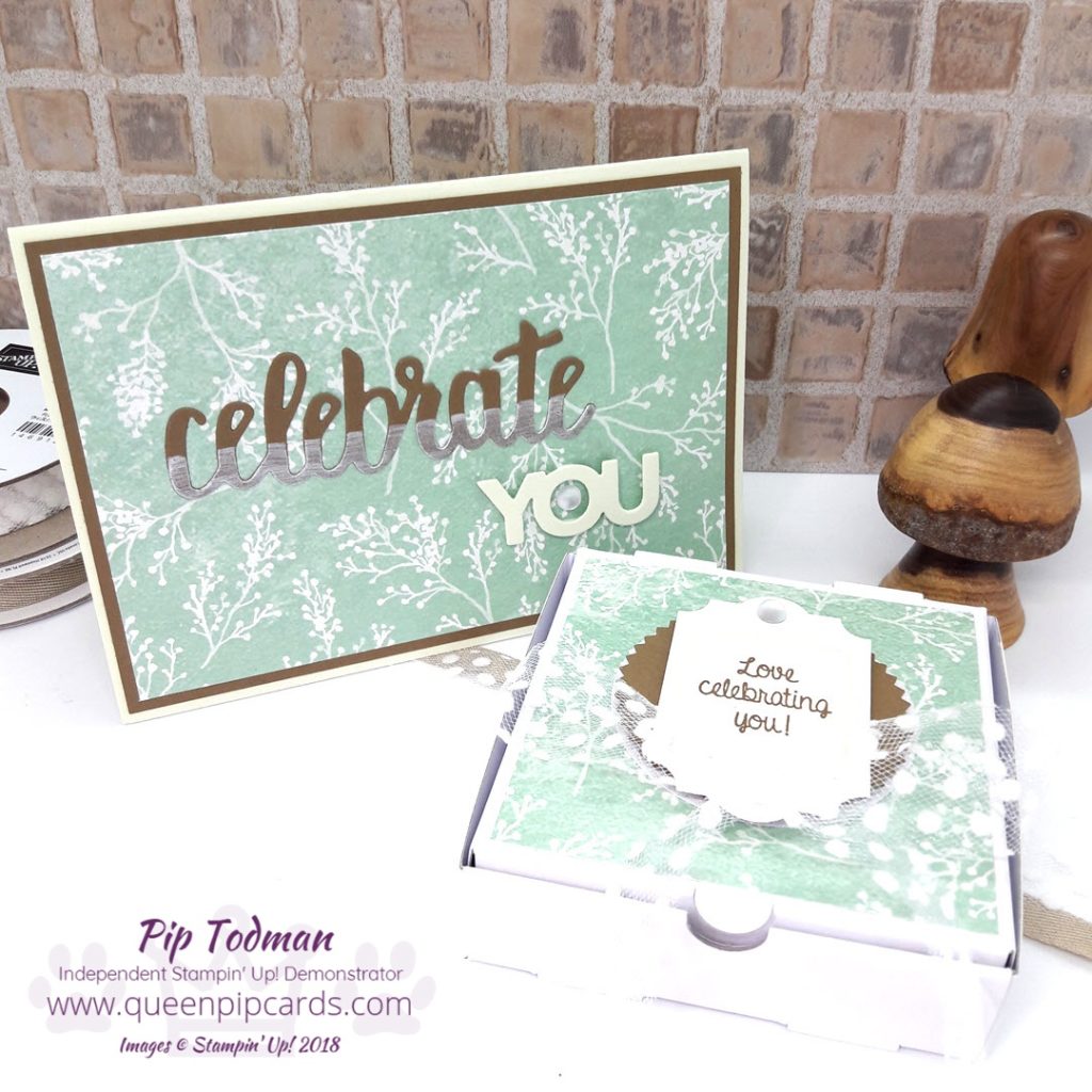 Celebrate You with my amazing team!! This week I'm sharing a card and box combo I created for my wonderful teamie who achieved both top sales and top recruiting this past year!! Well done Di Richardson! All Stampin' Up! products are / will be available from my online store here: http://bit.ly/QPCShop Pip Todman Crafty Coach & Stampin' Up! Top UK Demonstrator Queen Pip Cards www.queenpipcards.com Facebook: fb.me/QueenPipCards #queenpipcards #simplystylish #inspiringyourcreativity #stampinup #papercraft 