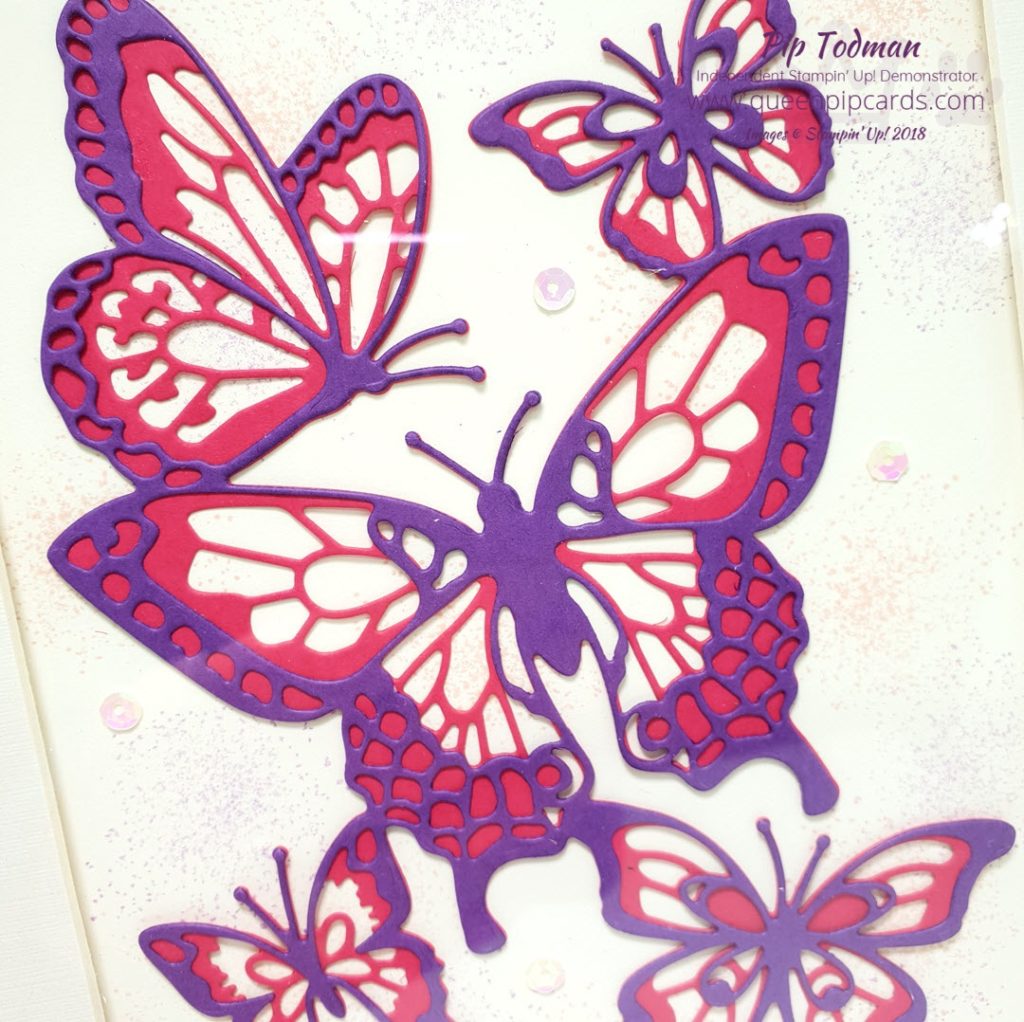 Spring Is In The Air Stampin' Creative Blog Hop Today I'm sharing a piece of home decor, a gift for a friend to cheer them up in the winter months. It reminds us Spring is coming! I love the Butterflies in this thinlit set available 3rd Jan 2019 from my store. Check out the hop and see what everyone else has made! All Stampin' Up! products are / will be available from my online store here: http://bit.ly/QPCShop Pip Todman Crafty Coach & Stampin' Up! Top UK Demonstrator Queen Pip Cards www.queenpipcards.com Facebook: fb.me/QueenPipCards #queenpipcards #simplystylish #inspiringyourcreativity #stampinup #simplestamping #papercraft