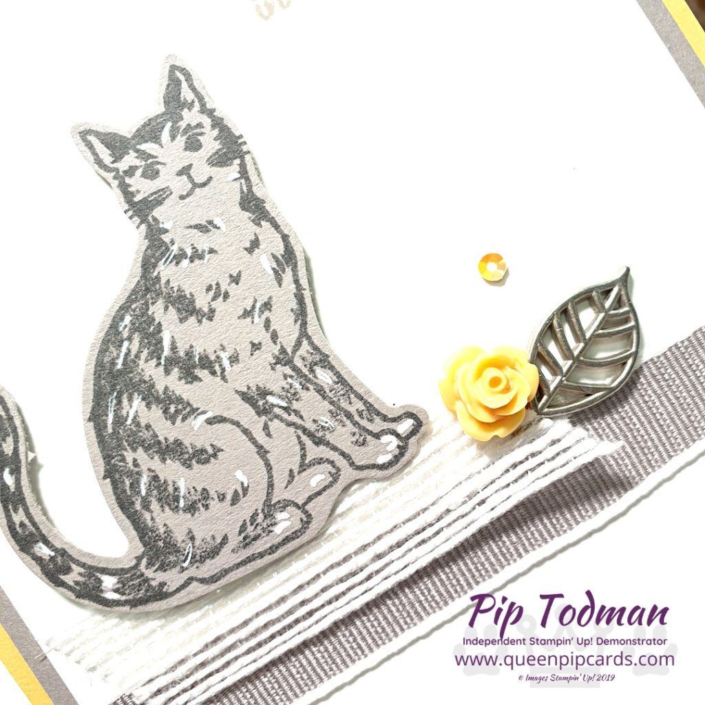 Embellishments With Nine Lives In my Brand New Basics video series this week I talk about how to use embellishments and which adhesives to use for them and ribbon etc All Stampin' Up! products are / will be available from my online store here: http://bit.ly/QPCShop Pip Todman Crafty Coach & Stampin' Up! Top UK Demonstrator Queen Pip Cards www.queenpipcards.com Facebook: fb.me/QueenPipCards #queenpipcards #simplystylish #inspiringyourcreativity #stampinup #simplestamping #papercraft 