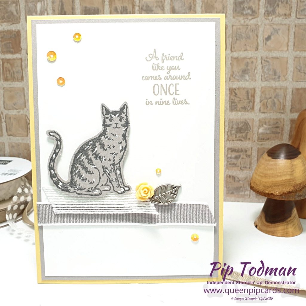 Embellishments With Nine Lives In my Brand New Basics video series this week I talk about how to use embellishments and which adhesives to use for them and ribbon etc All Stampin' Up! products are / will be available from my online store here: http://bit.ly/QPCShop Pip Todman Crafty Coach & Stampin' Up! Top UK Demonstrator Queen Pip Cards www.queenpipcards.com Facebook: fb.me/QueenPipCards #queenpipcards #simplystylish #inspiringyourcreativity #stampinup #simplestamping #papercraft 