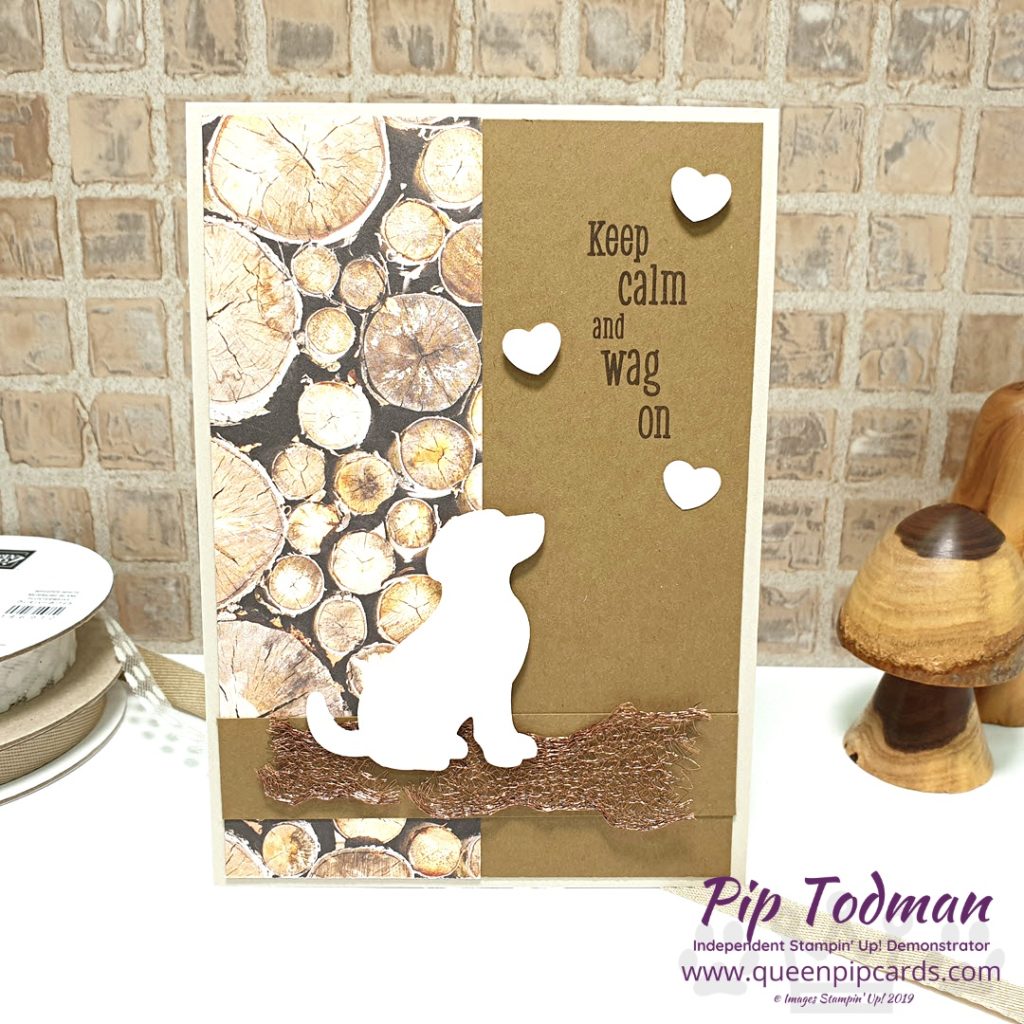 Gift Box Using Happy Tails A cute new puppy gift box idea using the Happy Tails bundle, with a matching card! All Stampin' Up! products are / will be available from my online store here: http://bit.ly/QPCShop Pip Todman Crafty Coach & Stampin' Up! Top UK Demonstrator Queen Pip Cards www.queenpipcards.com Facebook: fb.me/QueenPipCards #queenpipcards #simplystylish #inspiringyourcreativity #stampinup #simplestamping #papercraft 