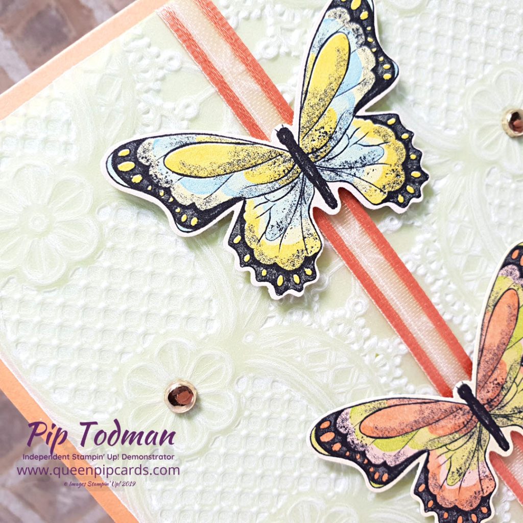 Lace Embossing Folder With Vellum A very pretty way to add dimension and texture to your cards. All Stampin' Up! products are / will be available from my online store here: http://bit.ly/QPCShop Pip Todman Crafty Coach & Stampin' Up! Top UK Demonstrator Queen Pip Cards www.queenpipcards.com Facebook: fb.me/QueenPipCards #queenpipcards #simplystylish #inspiringyourcreativity #stampinup #simplestamping #papercraft