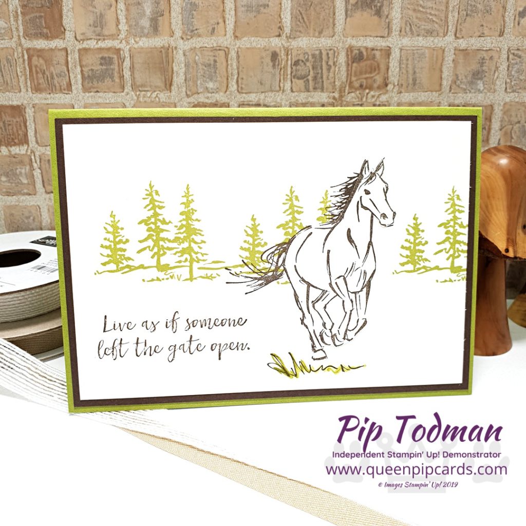 Let It Ride Card Ideas This set is perfect for any horse lovers in your life! The stamps are beautiful and the sentiments just fabulous too! All Stampin' Up! products are / will be available from my online store here: http://bit.ly/QPCShop Pip Todman Crafty Coach & Stampin' Up! Top UK Demonstrator Queen Pip Cards www.queenpipcards.com Facebook: fb.me/QueenPipCards #queenpipcards #simplystylish #inspiringyourcreativity #stampinup #simplestamping #papercraft 