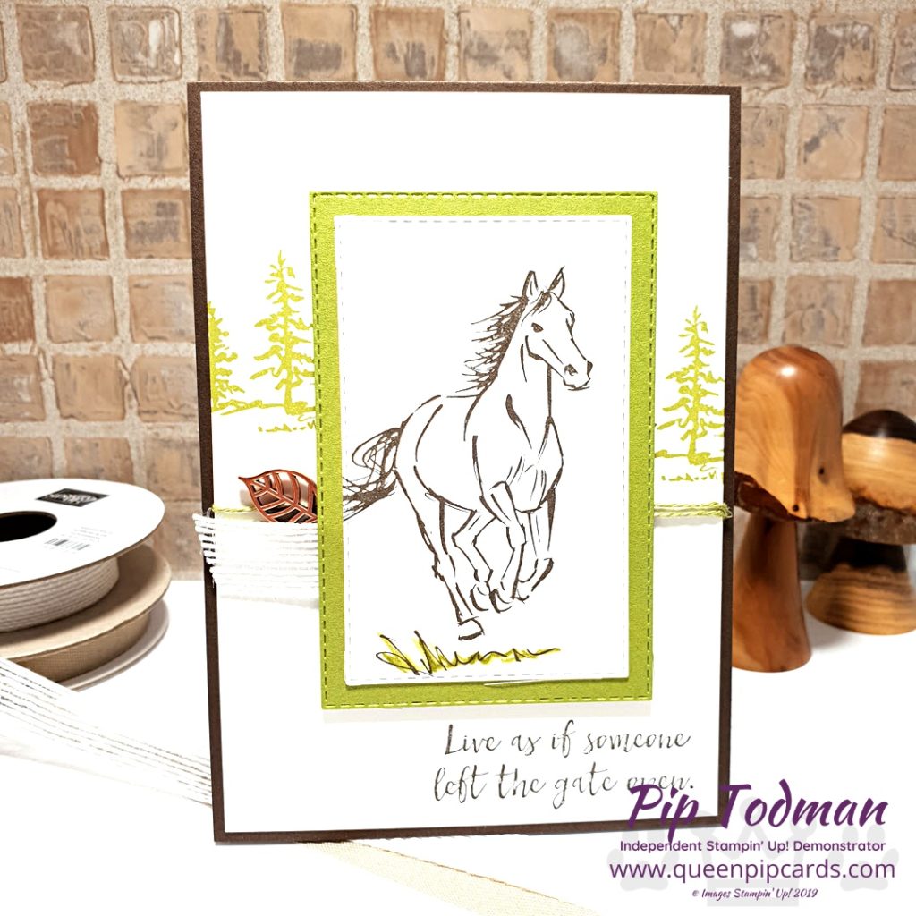 Let It Ride Card Ideas This set is perfect for any horse lovers in your life! The stamps are beautiful and the sentiments just fabulous too! All Stampin' Up! products are / will be available from my online store here: http://bit.ly/QPCShop Pip Todman Crafty Coach & Stampin' Up! Top UK Demonstrator Queen Pip Cards www.queenpipcards.com Facebook: fb.me/QueenPipCards #queenpipcards #simplystylish #inspiringyourcreativity #stampinup #simplestamping #papercraft 