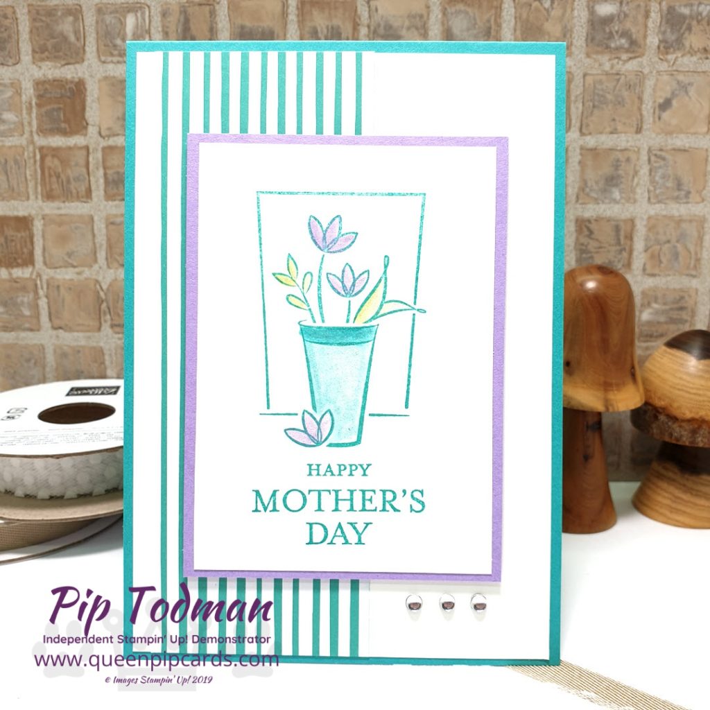 Springtime with Stampin Creative Blog Hop Love the fresh feel of Just Because Mother's Day flowers! Shop my online store here: http://bit.ly/QPCShop Pip Todman www.queenpipcards.com #queenpipcards #simplystylish #stampinup #simplestamping #papercraft