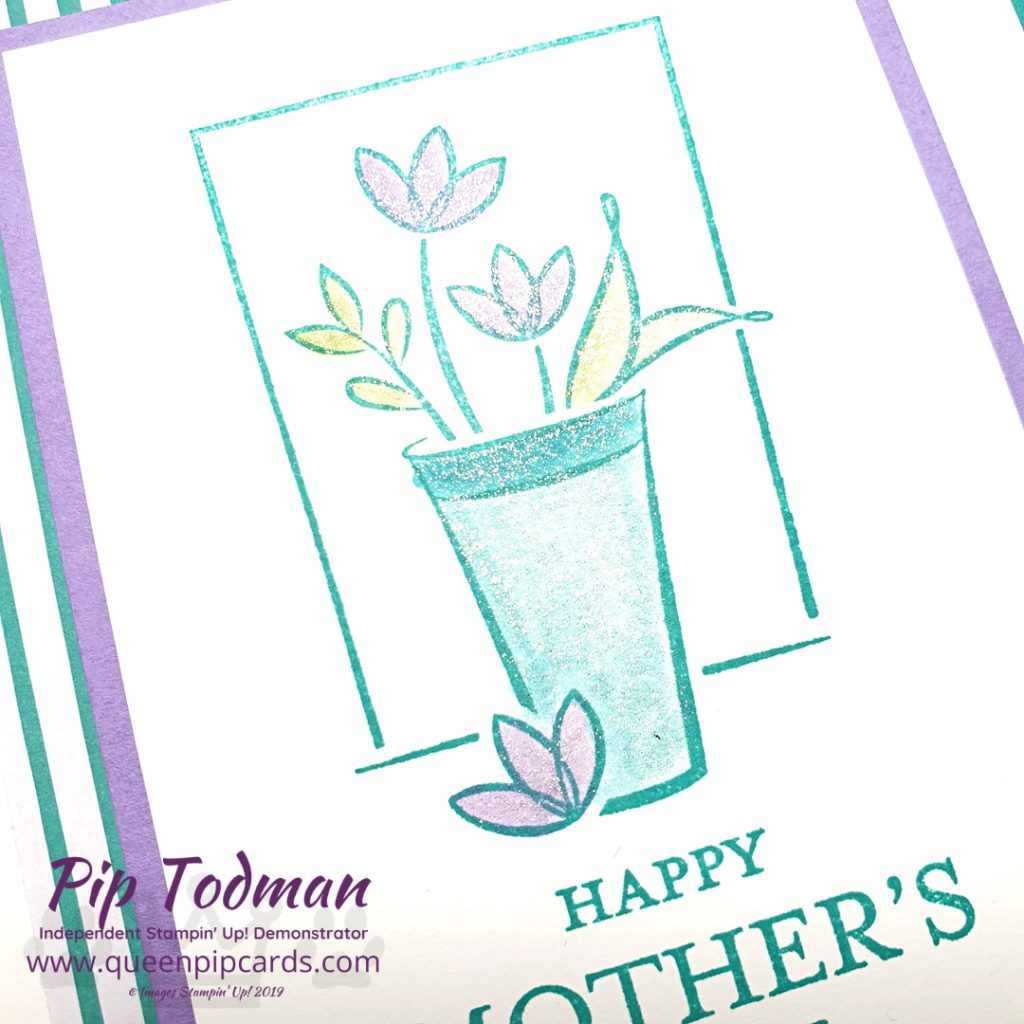 Springtime with Stampin Creative Blog Hop Love the fresh feel of Just Because Mother's Day flowers! Shop my online store here: http://bit.ly/QPCShop Pip Todman www.queenpipcards.com #queenpipcards #simplystylish #stampinup #simplestamping #papercraft