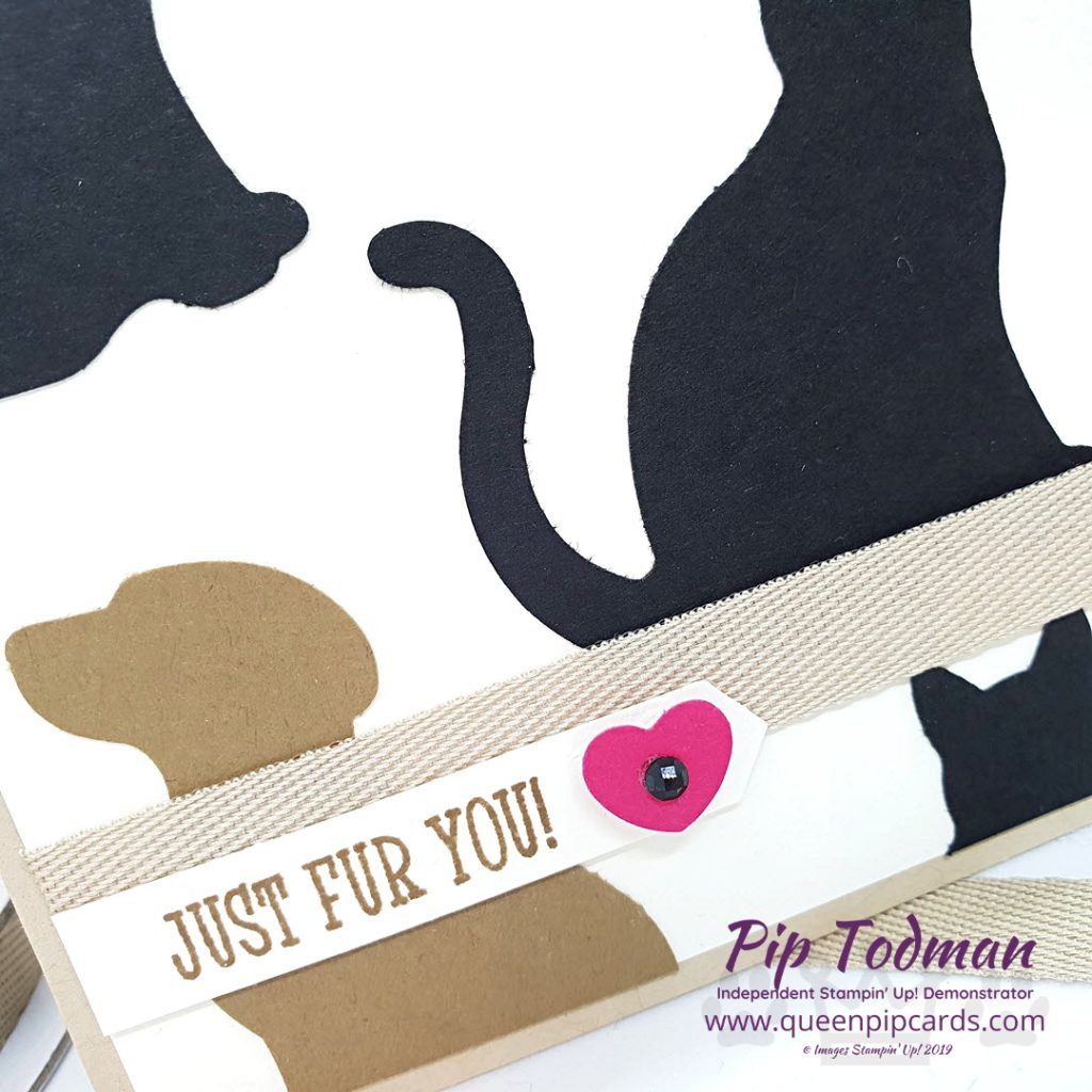 It's Raining Cats and Dogs is my card idea for you today. I love the punches from Stampin' Up! and how you can make them into something so cute! All Stampin' Up! products are / will be available from my online store here: http://bit.ly/QPCShop Pip Todman Crafty Coach & Stampin' Up! Top UK Demonstrator Queen Pip Cards www.queenpipcards.com Facebook: fb.me/QueenPipCards #queenpipcards #simplystylish #inspiringyourcreativity #stampinup #simplestamping #papercraft 