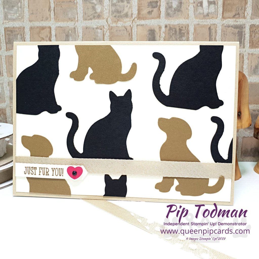 It's Raining Cats and Dogs is my card idea for you today. I love the punches from Stampin' Up! and how you can make them into something so cute! All Stampin' Up! products are / will be available from my online store here: http://bit.ly/QPCShop Pip Todman Crafty Coach & Stampin' Up! Top UK Demonstrator Queen Pip Cards www.queenpipcards.com Facebook: fb.me/QueenPipCards #queenpipcards #simplystylish #inspiringyourcreativity #stampinup #simplestamping #papercraft 