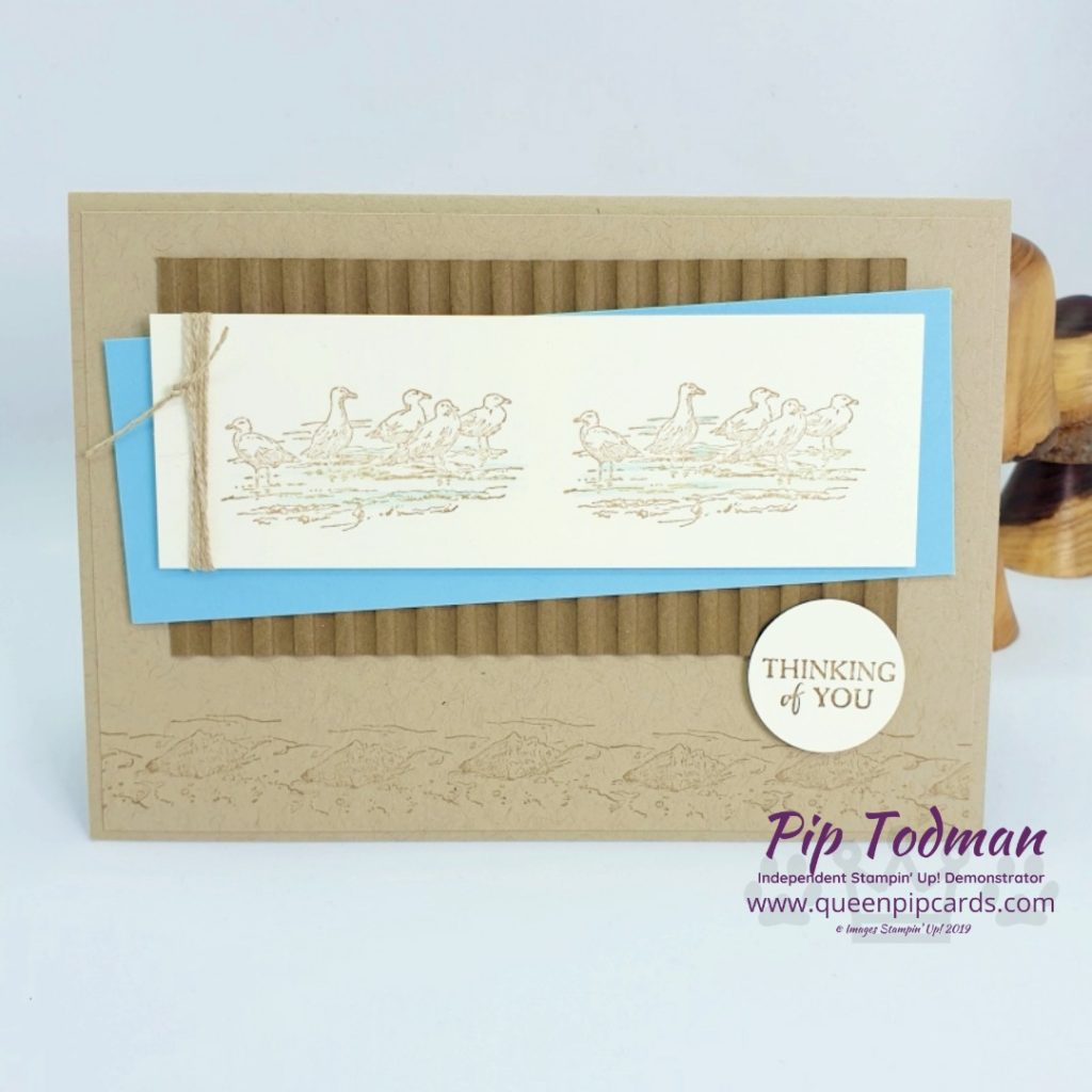 By The Bay Card With Scraps is a fun video for you! Love this Sale-a-bration set, I'll be sad to see it go. Shop my online store here: http://bit.ly/QPCShop Pip Todman www.queenpipcards.com #queenpipcards #simplystylish #stampinup #simplestamping #papercraft 