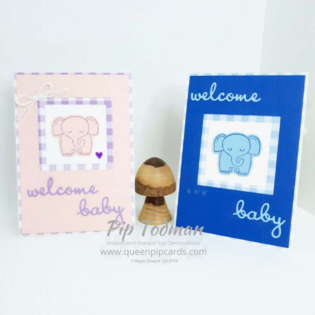 2 Baby Cards With A Little Wild. Such a cute stamp set and I loved picking out the best embossing folders to work with them. Giving a real feel of baby blankets! Pip Todman www.queenpipcards.com #queenpipcards #simplystylish #stampinup #simplestamping #papercraft 
