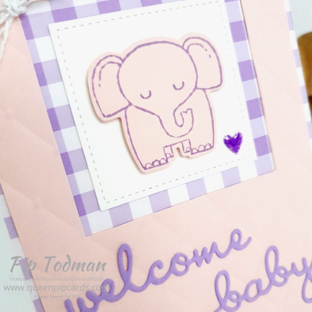 2 Baby Cards With A Little Wild. Such a cute stamp set and I loved picking out the best embossing folders to work with them. Giving a real feel of baby blankets! Pip Todman www.queenpipcards.com #queenpipcards #simplystylish #stampinup #simplestamping #papercraft 