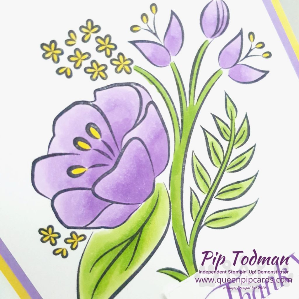 All That You Are stamps used to make Thank You cards inspired by the colours of Violas! Gorgeous purples and yellows with bright green stems! Pip Todman www.queenpipcards.com Stampin' Up! Independent Demonstrator UK