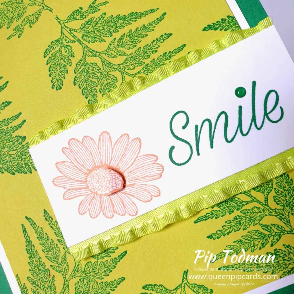 Daisy Lane Product Spotlight is this month's theme for Stampin' Creative! Come and hop with us today! Pip Todman www.queenpipcards.com Stampin' Up! Independent Demonstrator UK