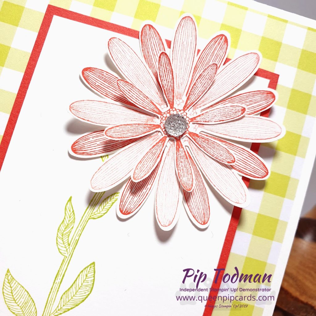 Gingham Gala Meets Daisy Lane in this fun card that's quick and easy to make. Great for crafting with the kids on a Saturday afternoon. Launches 4th June 2019. Pip Todman www.queenpipcards.com Stampin' Up! Independent Demonstrator UK