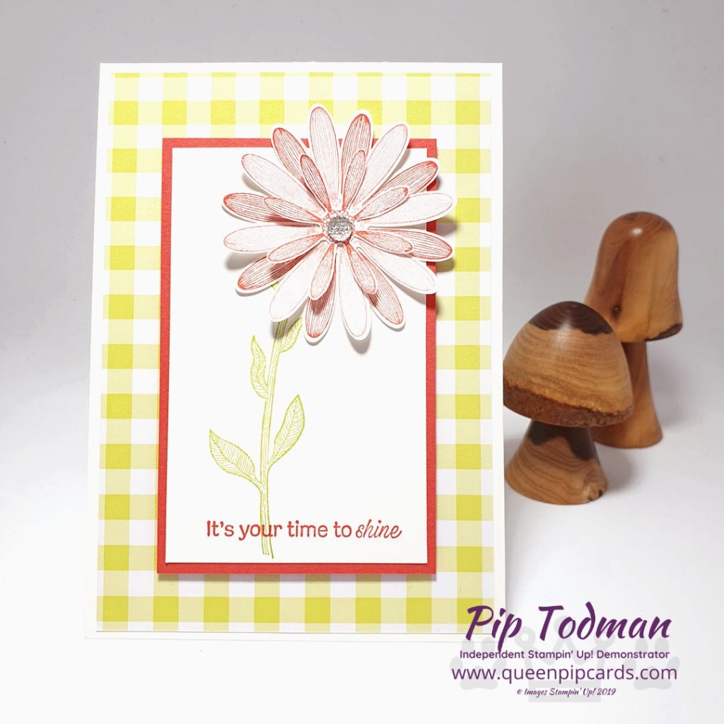 Gingham Gala Meets Daisy Lane in this fun card that's quick and easy to make. Great for crafting with the kids on a Saturday afternoon. Launches 4th June 2019. Pip Todman www.queenpipcards.com Stampin' Up! Independent Demonstrator UK