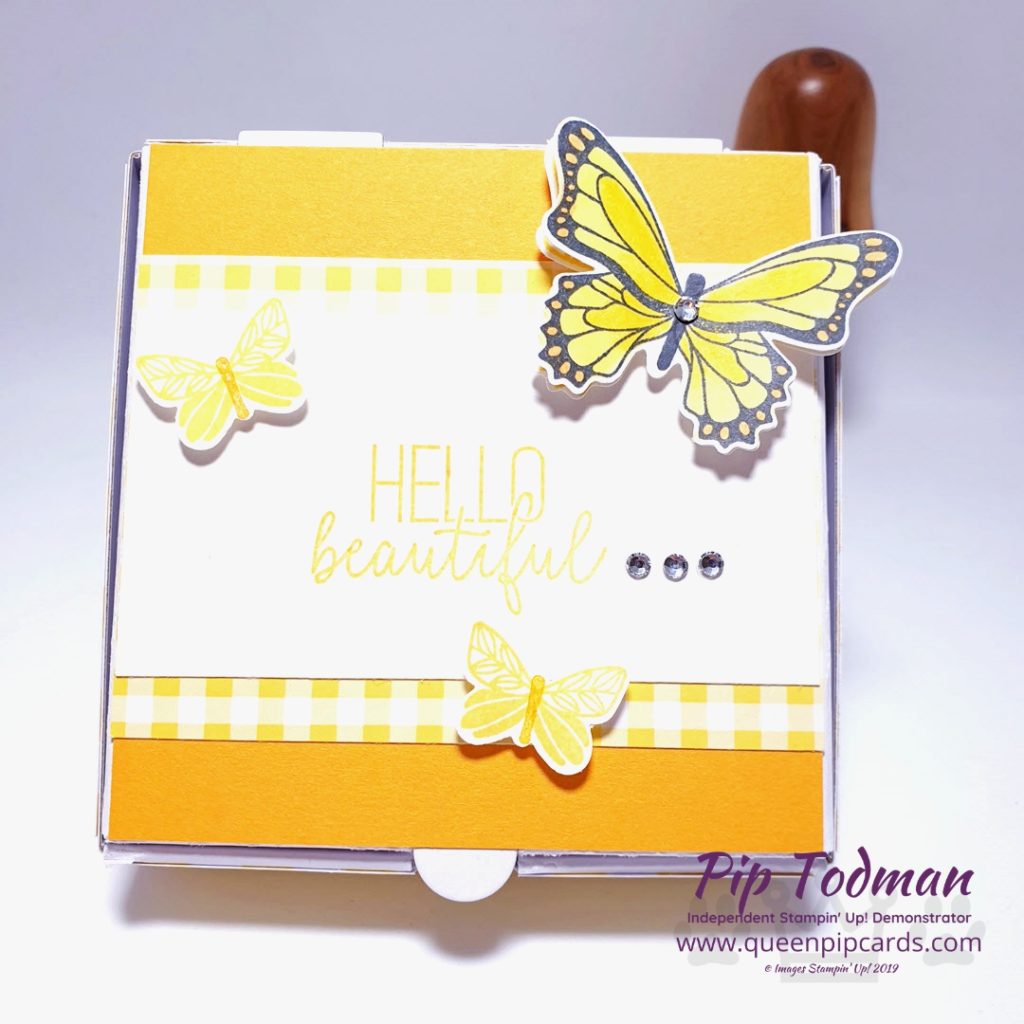 Gingham Gala Butterfly Duet is today's featured project in my Facebook Live Moody Monday Pick Me Up video! Pip Todman www.queenpipcards.com Stampin' Up! Independent Demonstrator UK