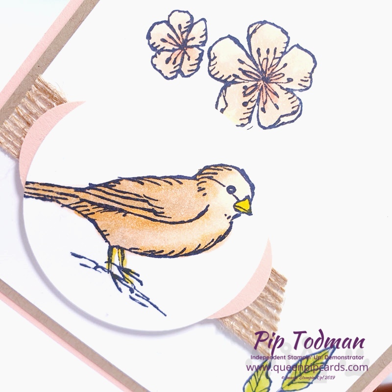 Free As A Bird sneak peek with the Greek Isles Achievers Blog Hop. A pretty delicate card with birds and flowers in soft Petal Pink. Pip Todman www.queenpipcards.com Stampin' Up! Independent Demonstrator UK