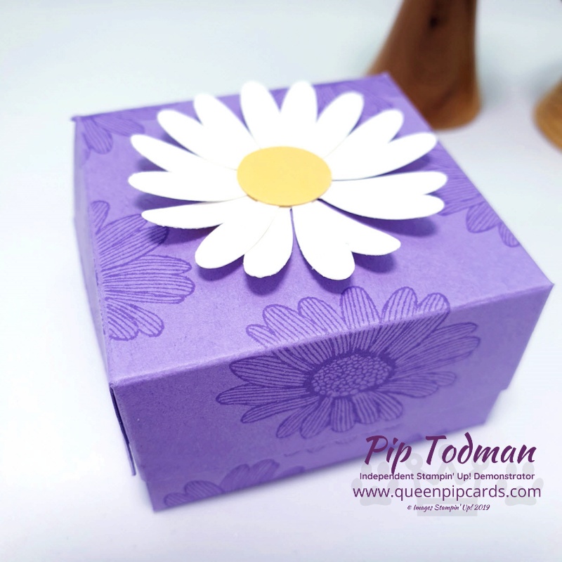 Daisy Lane Mini Soap Box is today's project! So cute and beautiful in Highland Heather colours! Pip Todman www.queenpipcards.com Stampin' Up! Independent Demonstrator UK 