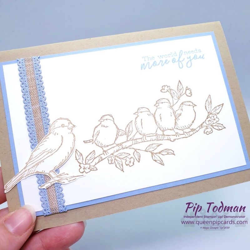 Free As A Bird In Colour Cards with Stampin' Creative Blog Hop! Come and see all the new In Colours from Stampin' Up! shown off by the design team this month! Pip Todman www.queenpipcards.com Stampin' Up! Independent Demonstrator UK 