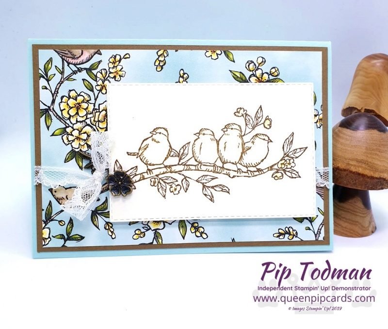 Free as a Bird in Blues and Browns. Yes more Bird Ballad today, this time in simple Soft Suede with Pool Party paper. Pip Todman www.queenpipcards.com Stampin' Up! Independent Demonstrator UK 