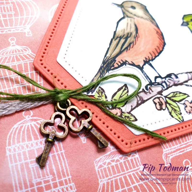 Pretty Cards and Paper Blog Hop with Bird Ballard! My first venture with a new hop team. I hope they like the 2 hand cut birds from this amazing paper pack. Pip Todman www.queenpipcards.com Stampin' Up! Independent Demonstrator UK 