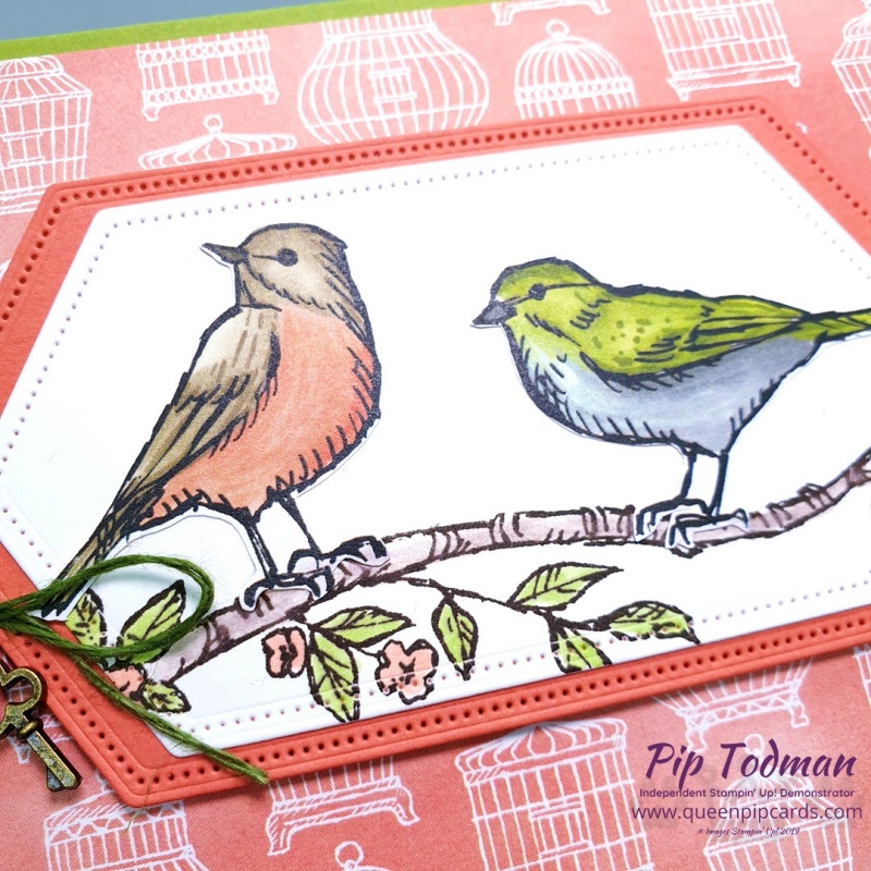Pretty Cards and Paper Blog Hop with Bird Ballard! My first venture with a new hop team. I hope they like the 2 hand cut birds from this amazing paper pack. Pip Todman www.queenpipcards.com Stampin' Up! Independent Demonstrator UK 