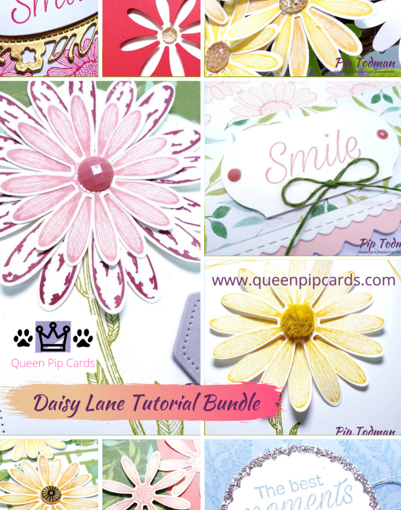 Daisy Lane makes me Smile everyday! Especially with a FREE tutorial available when you grab the bundle from me! Pip Todman www.queenpipcards.com Stampin' Up! Independent Demonstrator UK 