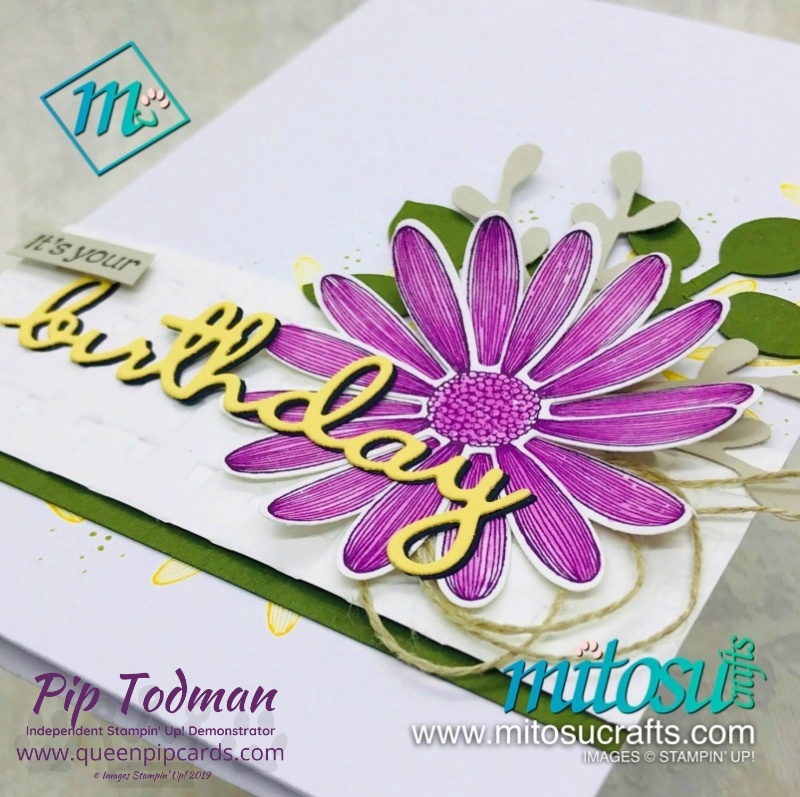 Daisy Lane stamp set ideas, FREE tutorial with purchase, Bonus Days and new Extra, Extra joining offer! WOW Pip Todman www.queenpipcards.com Stampin' Up! Independent Demonstrator UK 