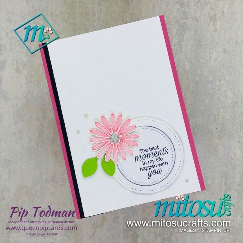 Daisy Lane stamp set ideas, FREE tutorial with purchase, Bonus Days and new Extra, Extra joining offer! WOW Pip Todman www.queenpipcards.com Stampin' Up! Independent Demonstrator UK 