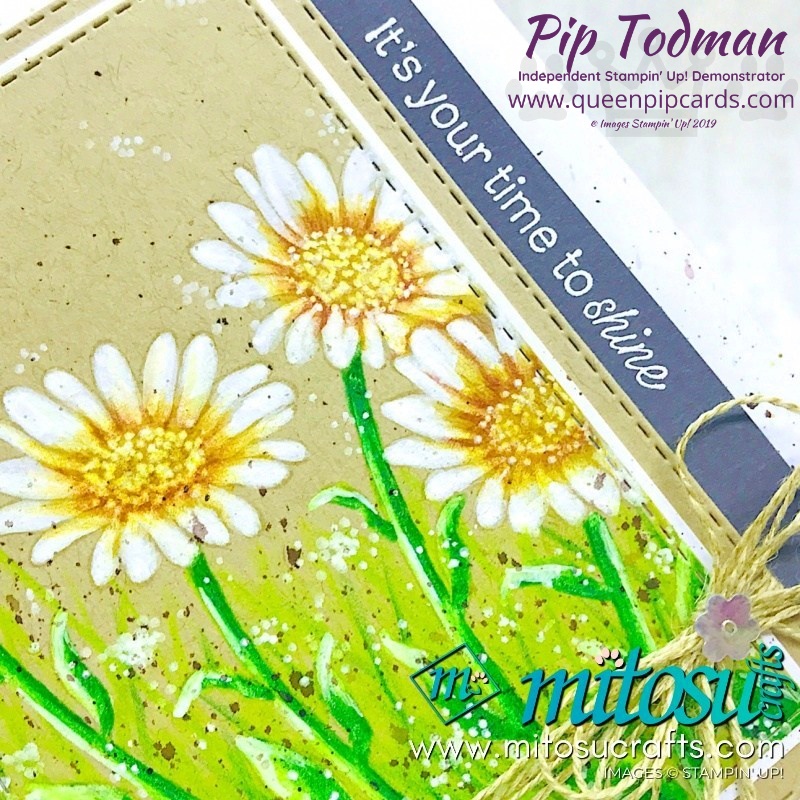 Daisy Lane stamp set ideas, FREE tutorial with purchase, Bonus Days and new Extra, Extra joining offer! WOW Pip Todman www.queenpipcards.com Stampin' Up! Independent Demonstrator UK 