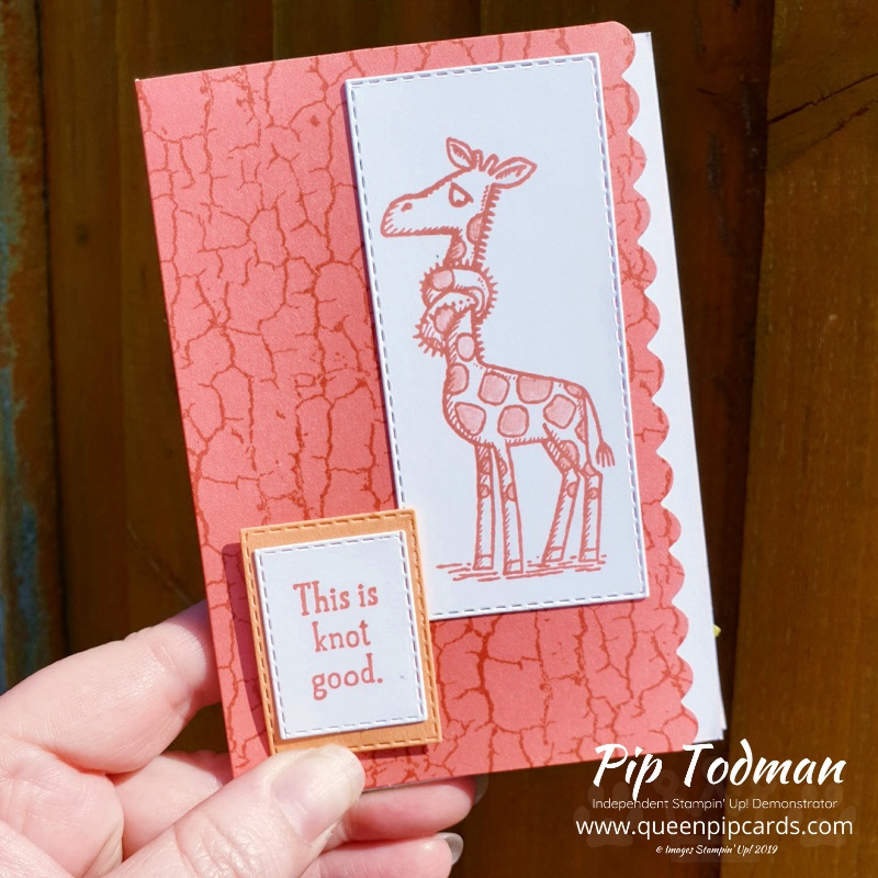 Scalloped Notecards for the Pretty Cards and Paper Blog Hop featuring Back On Your Feet stamp set and lots of Stitched dies. Pip Todman www.queenpipcards.com Stampin' Up! Independent Demonstrator UK 