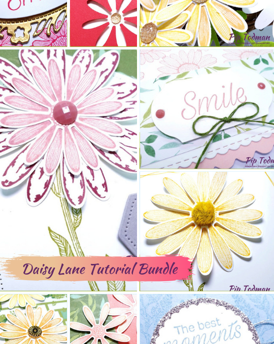 Daisy Lane stamp set ideas, FREE tutorial with purchase, Bonus Days and new Extra, Extra joining offer! WOW Pip Todman www.queenpipcards.com Stampin' Up! Independent Demonstrator UK 