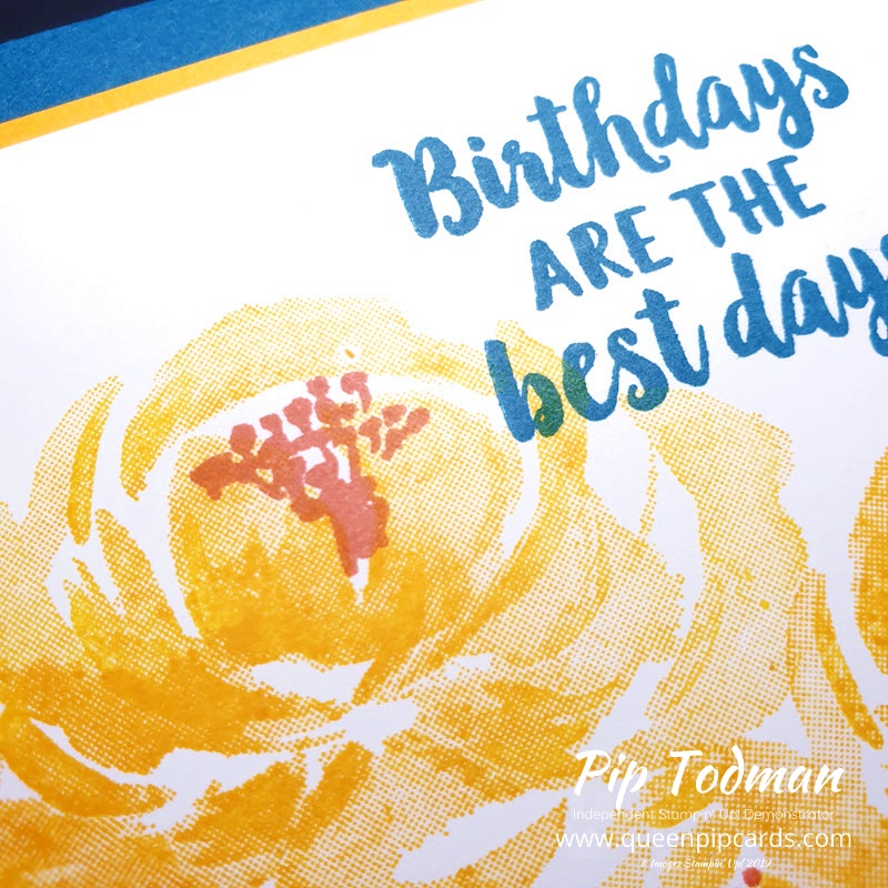 Create an Easy Watercolour Effect for your cards with Beautiful Friendship stamps. Gorgeous in all colours! Pip Todman www.queenpipcards.com Stampin' Up! Independent Demonstrator UK 