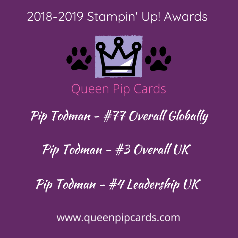 Pip Todman Stampin Up Demonstrator UK 2018-2019 Annual Awards I am on cloud nine to rank as I did!